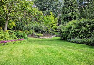 Optimiser l'expérience du jardin à La Chapelle-des-Fougeretz